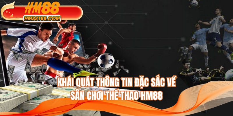 Khái quát thông tin đặc sắc về sân chơi thể thao HM88